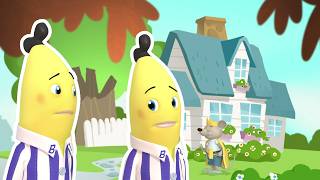 The Jam Judge | Bananas in Pyjamas Season 1 | Full Episodes | Bananas In Pyjamas