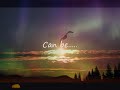 You Raise Me Up (with lyrics) - Selah