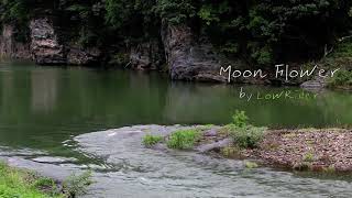 Moon FlowerㅣBGMㅣ배경 음악ㅣBack Ground MusicㅣLowRiderㅣKineMaster Musicㅣ키네마스터 뮤직