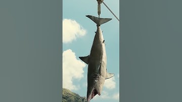 Jurassic World Mosasaurus Feeding HD Movie Clip #jurassicworld #chrispratt #mosasaurus #shark