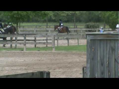 Susan Schmitt and Sterling 3'0 Hunters Brownland AA Horse Show Trip 2