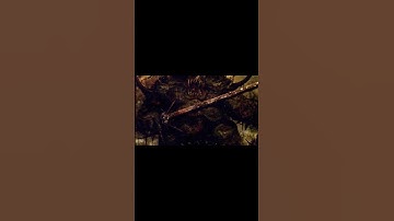 Nurgle’s Rot – Already on the channel #rockmusic #metal #warhammer40k #rock #cod #60fps #duet #4k