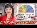 БУСЫ и БРАСЛЕТЫ🍃🌺🍃от ЛЕДИ САМОЦВЕТ🍃🌺🍃Открывается Посылочка🍃🌺🍃Поднимается Настроение🍃🌺🍃