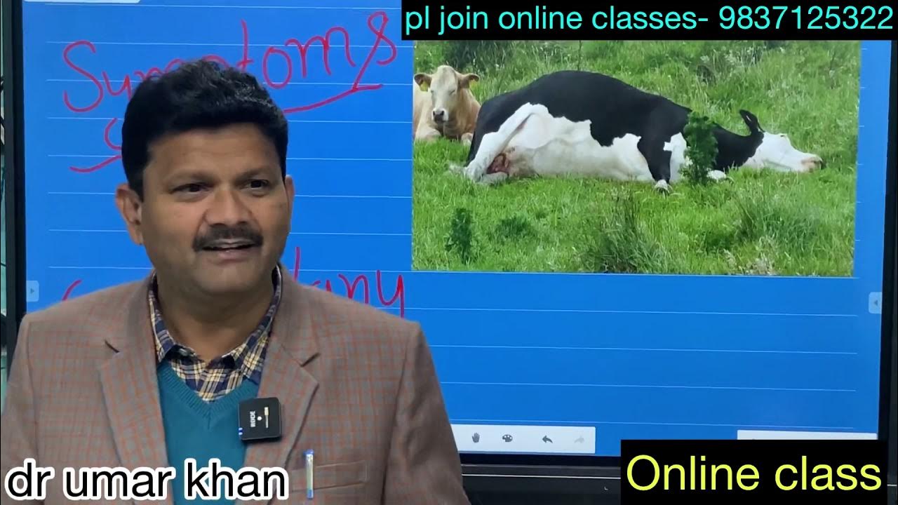 Downer cow syndrome l milk fever l ketosis l hypocalcemia l