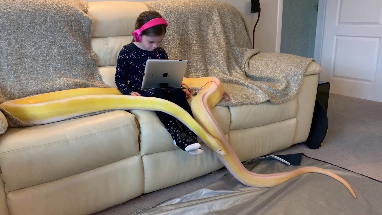 camera iphone 8 plus apk 16ft Retic and Chill.