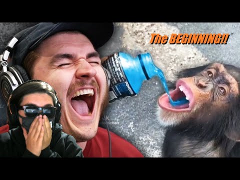 These Tiktoks were TOO CRAZY | Ranking Your CURSED Tiktoks reaction