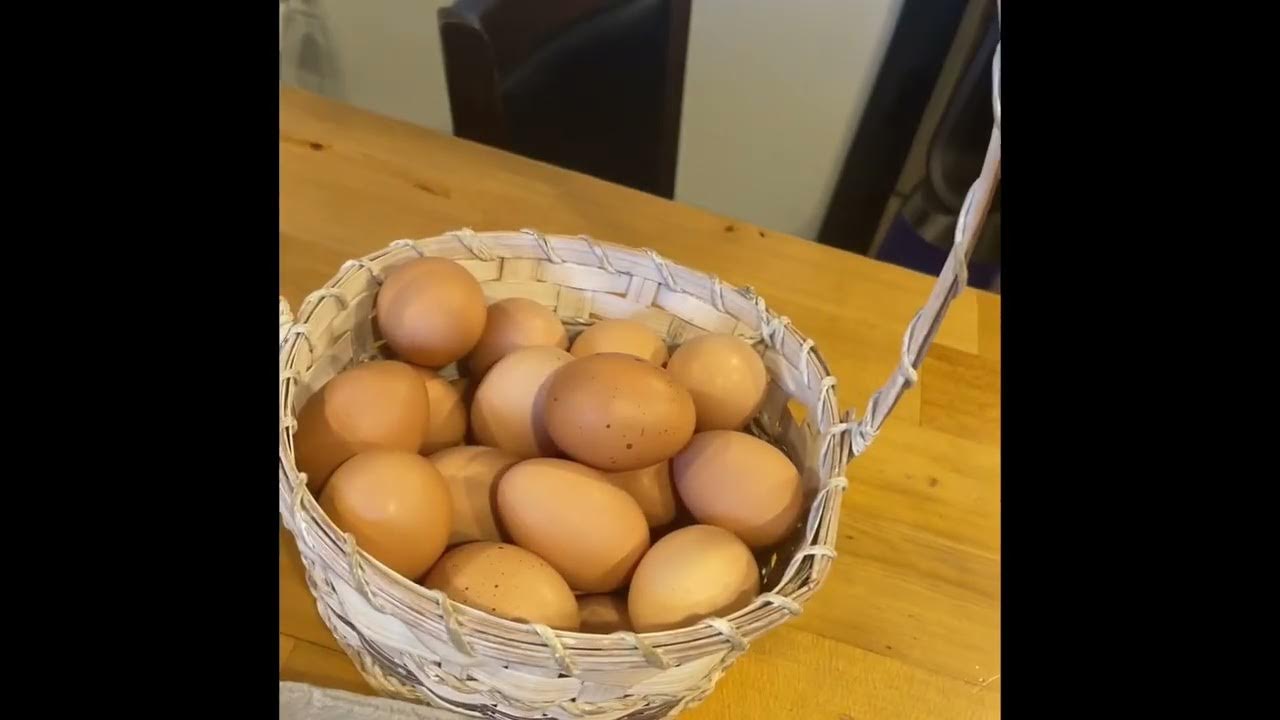 Hubby weighing eggs for sale YouTube