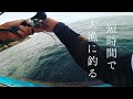 竿が曲がりっぱなし!多種多様の大型魚を爆釣する落とし込み釣法。