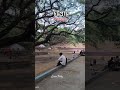 চট্টগ্রাম 📌সি আর বি 🥰🥰🥰#foryoupageシforyou #viralvideo #youtubeshorts