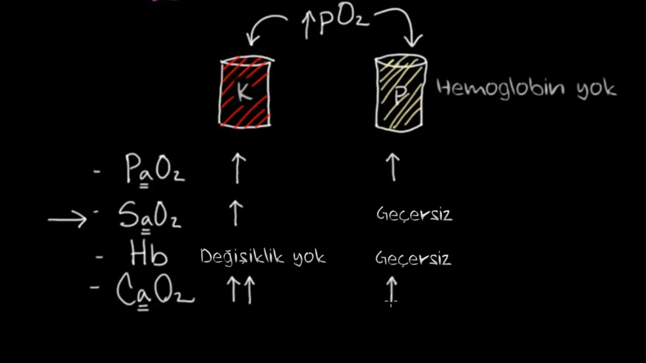 Oksijen İçeriği (Sağlık Bilgisi ve Tıp)