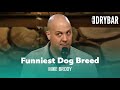 Never Mix A Wiener With A Golden Retriever. Mike Brody - Full Special