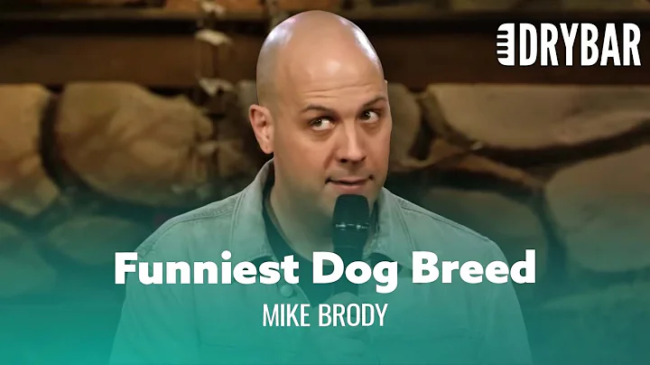Never Mix A Wiener With A Golden Retriever. Mike B...