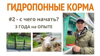 ГИДРОПОННЫЕ КОРМА - Часть #2 - С ЧЕГО НАЧАТЬ? ПРОЕКТ КОРМ ПРОСТО. 3 года опыта.