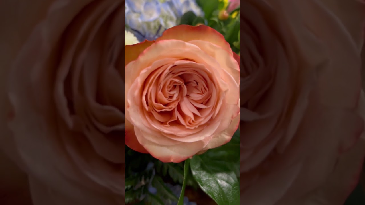 Each season brings new flowers at the funeral home and I still am struck by how beautiful some are!