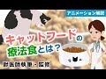 キャットフードの療法食について【獣医師執筆監修】