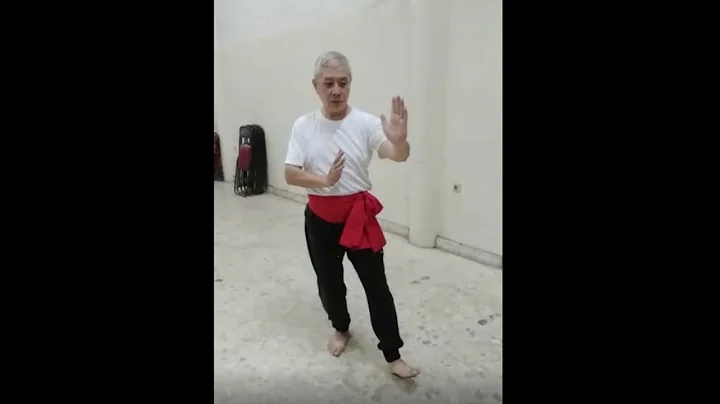 Taijiquan Standard 1 AKTI by Tjang Kian Liong