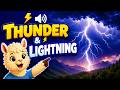 Why Do We Have Thunder and Lightning? ⚡ | Science for Kids
