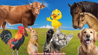 Learn Family Animals: Cat, Cow, Duck, Horse, Chicken - Animal sounds by Animal Farm Sounds 18,177 views 11 days ago 34 minutes