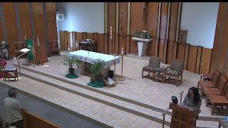 Fourteenth Sunday in Ordinary Time