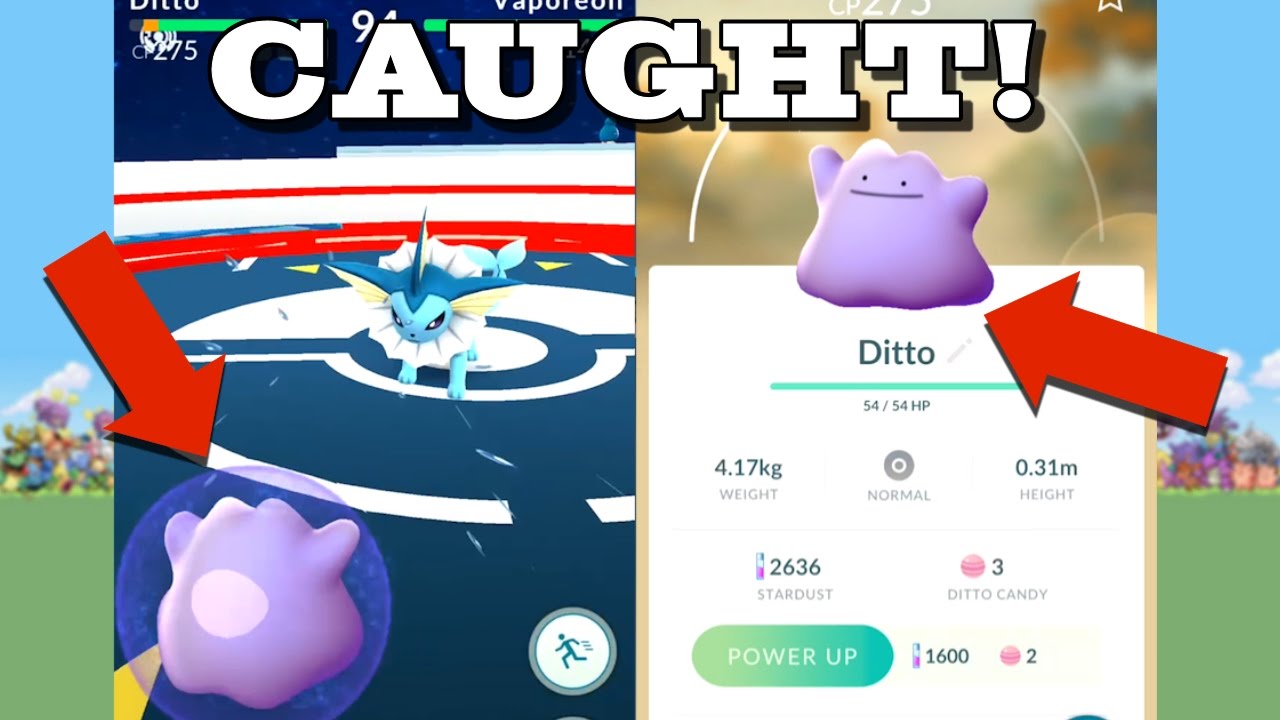 Ditto's Perfect Transformation - Pokémemes - Pokémon, Pokémon GO