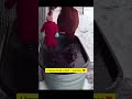 #shorts #shortvideo #horse #dog #cat #happy #funny #cute #animals