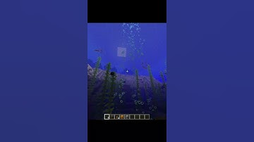 What If You Create Wither In Water #shorts