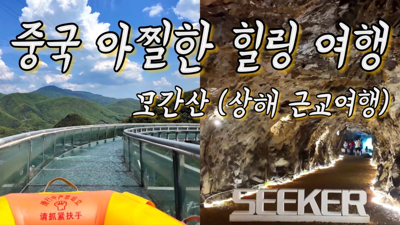 상해 근교여행｜1박 2일 모간산 아찔, 힐링 중국여행 (동굴카페, 대나무숲 숙소, 이색체험, 맛집 추천)