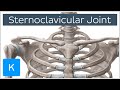 Sternoclavicular Joint - Location & Movements - Human Anatomy | Kenhub
