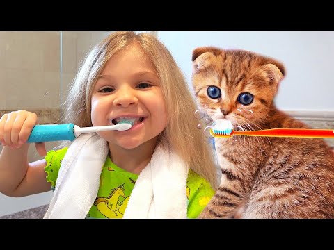 ダイアナ と 彼女 の 子猫 について の 最高 の 物語  Diana &amp; Roma
