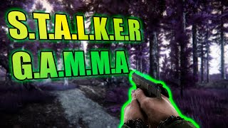 Лютый Ноудез S.t.a.l.k.e.r: G.a.m.m.a Anomaly Стрим #6.1