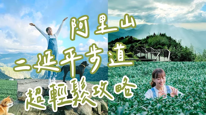 【嘉義】隙頂坐看阿里山日出！二延平步道超輕鬆私房路線，茶園、雲瀑、雲海和晚霞，一次滿足！超舒適民宿，日出也悠閒。山上吃火鍋最暖心，自家脆甜高山蔬菜！2天1夜超內行行程｜1000步的繽紛台灣 Ep434 - 天天要聞