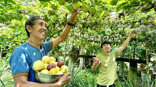 Millions Kita, Fast ROI sa Passion Fruit Farming + Value Adding! screenshot 5