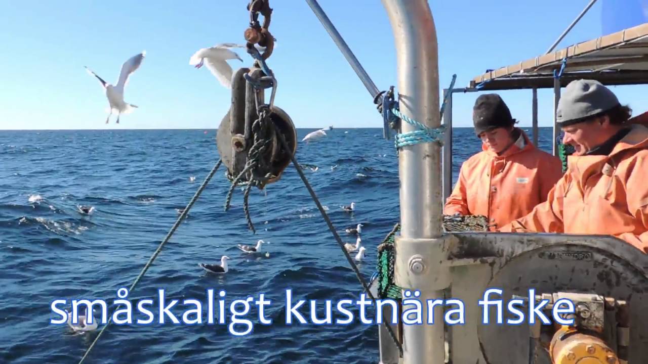 Burkäftfiske med GG Ulrika
