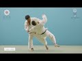 大外落 / O-soto-otoshi