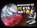 Microscope ke Neeche Kya Dikhta Hai? (Real Footage) Random Things Under a Microscope #microscope