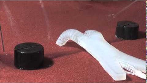 Soft Robot Walking and Crawling