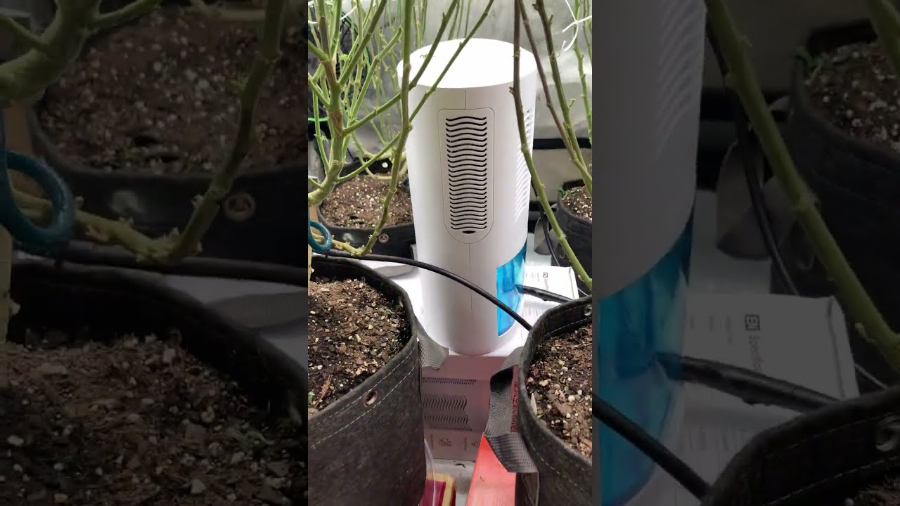 How to control temp & humidity in your grow tent