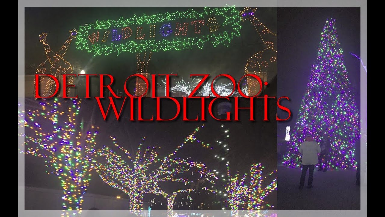 Detroit Zoo Wildlights YouTube