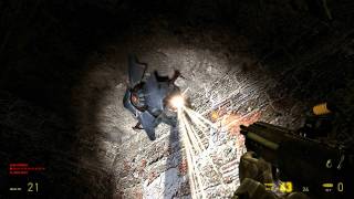 Half Life 2 Twixtor Test