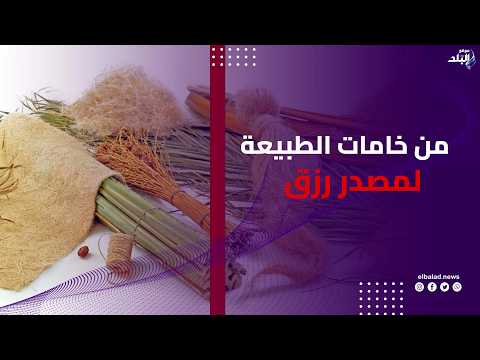 مخدات من ليف النخيل ومقاطف من الخوص كيف يحول الصعايدة خامات الطبيعة لمصدر رزق؟