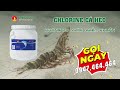 XỬ LÝ NƯỚC AO NUÔI TÔM ĐÚNG CÁCH VỚI CHLORINE CÁ HEO | CALL 0947.464.464