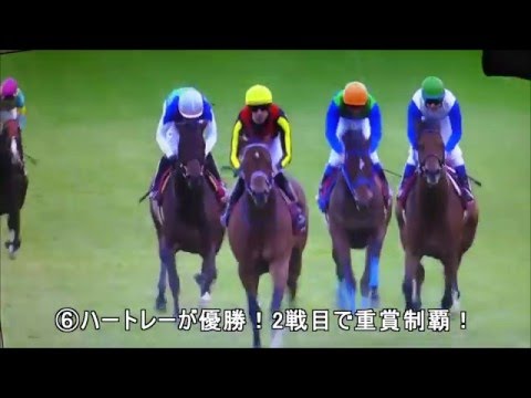 【レース回顧】2015　ホープフルステークス　結果動画コメント付き