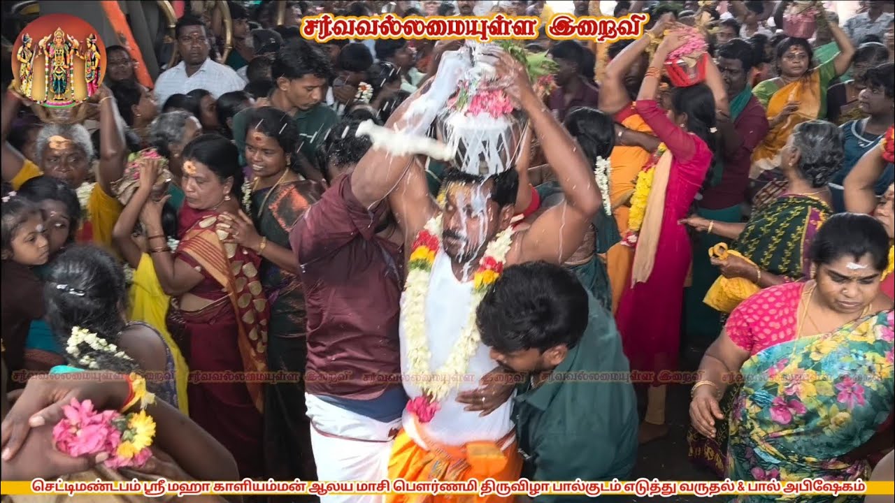செட்டிமண்டபம் ஸ்ரீ மஹா காளியம்மன் ஆலய மாசி பௌர்ணமி திருவிழா பால்குடம் எடுத்து வருதல் & பால் அபிஷேகம்