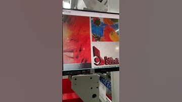 Flexographic Printing Machine // Paper Bag Printing Machine Somtaş