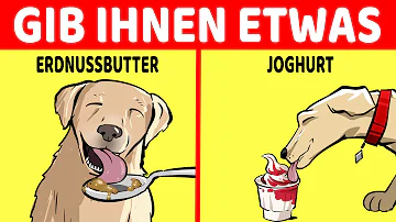 Ist Quark für Hunde gesund?