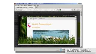 How To Install Wordpress Themes Automatically