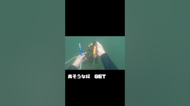 誰も知らない琵琶湖の底　＃shorts