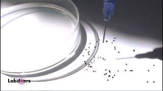 Gentlegrab Spreading Function