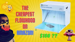 Full review on the Msfullsea vertical laminar flowhood #mycology #mushroom #flowhoods
