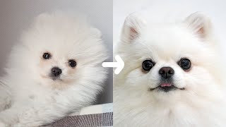 3개월과 3살의 차이 ｜ The difference between 3 mths-old and 3 yrs-old